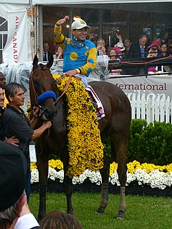 American Pharoah.jpg