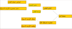 صورة مصغرة لـ فسيولوجيا مرضية لارتفاع ضغط الدم