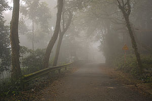 Ba Vì National Park, foggy road.jpg