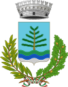巴塞爾加迪皮內徽章