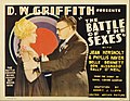 Thumbnail for The Battle of the Sexes (1928 film)