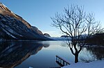 Bohinjsjön i vinter