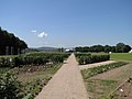 Anlage erster Gärten auf dem Plateau vor der Festung Ehrenbreitstein 06/2010