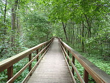 Burchfield Nature Center path.JPG