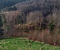 Bewaldeter Bergsporn in Aufsicht im Winter mit einer grünen Wiese im Vordergrund.