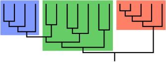 Cladogram (family tree) of a biological group. The green box (central) may represent an evolutionary grade (paraphyletic), a group united by conservative anatomical and physiological traits rather than phylogeny. The flanking red and blue boxes are clades (i.e., complete monophyletic subtrees). Clade-grade II.svg