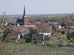 Deidesheim – Veduta