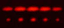 2-slit (top) and 5-slit diffraction of red laser light Diffraction2vs5.jpg