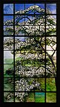 Louis Comfort Tiffany (1902-15) Dogwood [Vitrail] Metropolitan Museum of Art, États-Unis