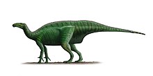 Dollodon bampingi Steveoc86.jpg