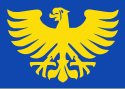 Vlag van Arendonk