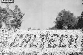 Great Rose Bowl Hoax of 1961