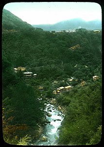 Houses in the woods, river in foreground