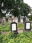 Jüdischer Friedhof Burgsteinfurt Gräberfeld 2