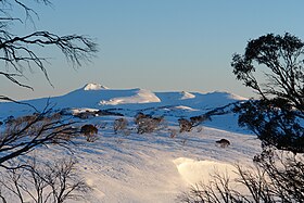 Vue du mont Jagungal à proximité du refuge Mawson à l'aube.