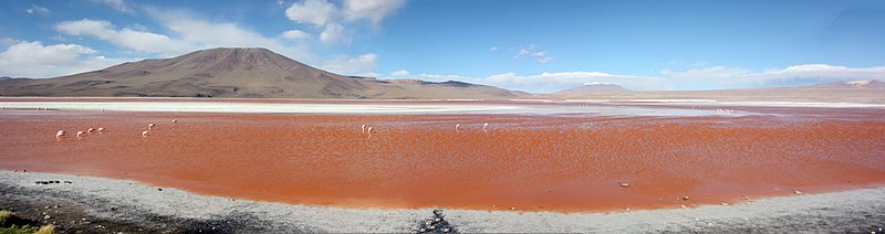 File:Laguna Colorada panorama.jpg