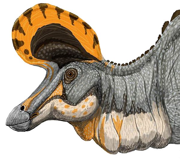 600px-Lambeosaurus_magnicristatus_DB.jpg