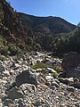 Dry river bed in Paradise Valley