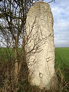 Menhir von Feldengel