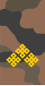 Mongolian Army-1LT-field 1998-2011