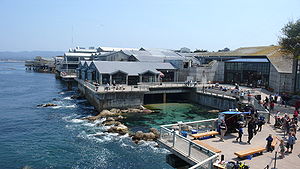 Back view of Monterey Bay Aquarium.