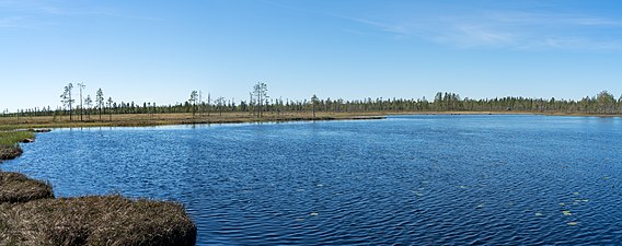 Västra Sjötjärnen.