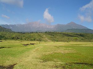 Trung tâm thành phố Arusha với núi Meru ở đằng sau