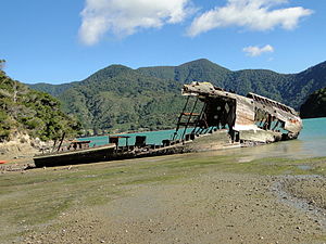 Photographie d'une épave échouée de bateau en bois.