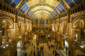 The central hall of the museum Natural History Museum - London.jpg