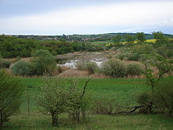 Přírodní rezervace Rašovický zlom – Chobot