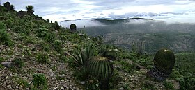 Image illustrative de l’article Réserve de biosphère Tehuacán-Cuicatlán