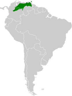 Distribución geográfica de la cardenilla enmascarada.