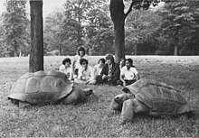 Tours and classes at the zoo, 1979 Photograph of Tours and Classes at the National Zoo - NARA - 36213488.jpg