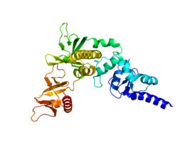 Protein ADAP1 PDB 3FEH.png