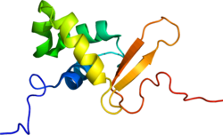 Белок FOXO3 PDB 2K86.png