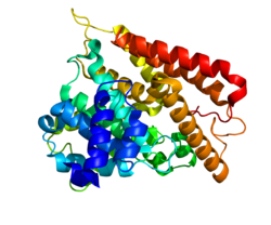 Protein PDE4C PDB 1LXU.png