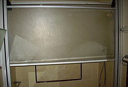 Raisable shower door