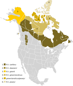 Rangifer tarandus Map NA