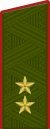 Lieutenant général