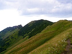 Stratenec uprostřed