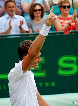 Tomas Berdych (9153686553)