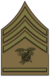 US Army OD Chevron Sergeant First Class, Quartermaster Corps 1913-1918.png