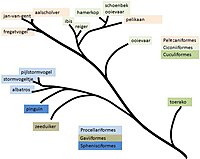 De 'watervogels' volgens Hackett et al (2008)