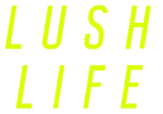 Vignette pour Lush Life (chanson de Zara Larsson)