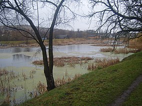 Lacul din parc.