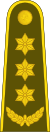 18-Литовская армия-COL.svg