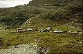 1961. Two tourist cabins at Østerbø, Østerbø Turisthytte and Østerbø Fjellstove. The small house in the middle of the picture is the original building from a previous picture. It served as living room with the open fireplace until about 1970 in Østerbø Turisthytte.