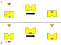 A - Active Site B - Allosteric Site C - Substrate D - Inhibitor E - Enzyme 1. In this process, the substrate (C) binds to the enzyme (E) at the active site (A). This enzyme is functioning normally, and is not inhibited. 2. In this process, an inhibitor (D) binds to the allosteric site (B) on the enzyme (E), causing a change in the shape of the enzyme. The substrate (C) can no longer bind to the active site (A) of the enzyme.