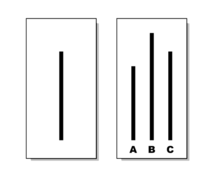 Which line matches the first line, A, B, or C? In the Asch conformity experiments, people frequently followed the majority judgment, even when the majority was objectively wrong. Asch experiment.png