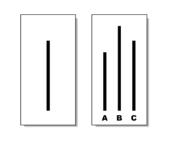 Which line matches the first line, A, B, or C? In the Asch conformity experiments, people frequently followed the majority judgment, even when the majority was wrong. Asch experiment.png